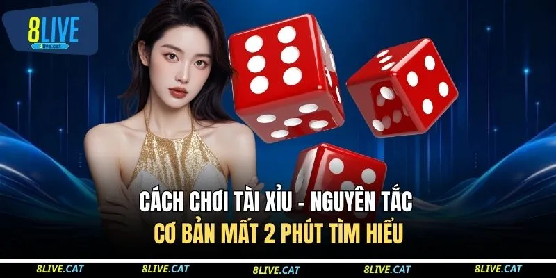 Cách Chơi Tài Xỉu - Nguyên Tắc Cơ Bản Mất 2 Phút Tìm Hiểu