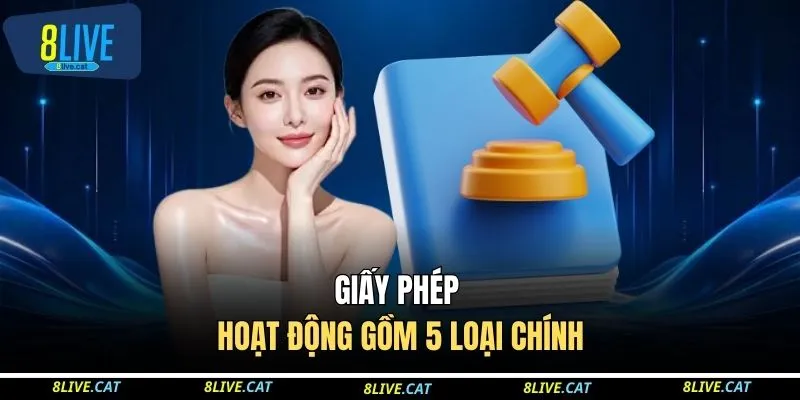 Giấy phép hoạt động gồm 5 loại chính